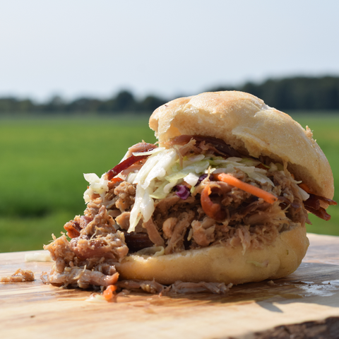A Southern Style Pulled Pork Sandwich with coleslaw.
