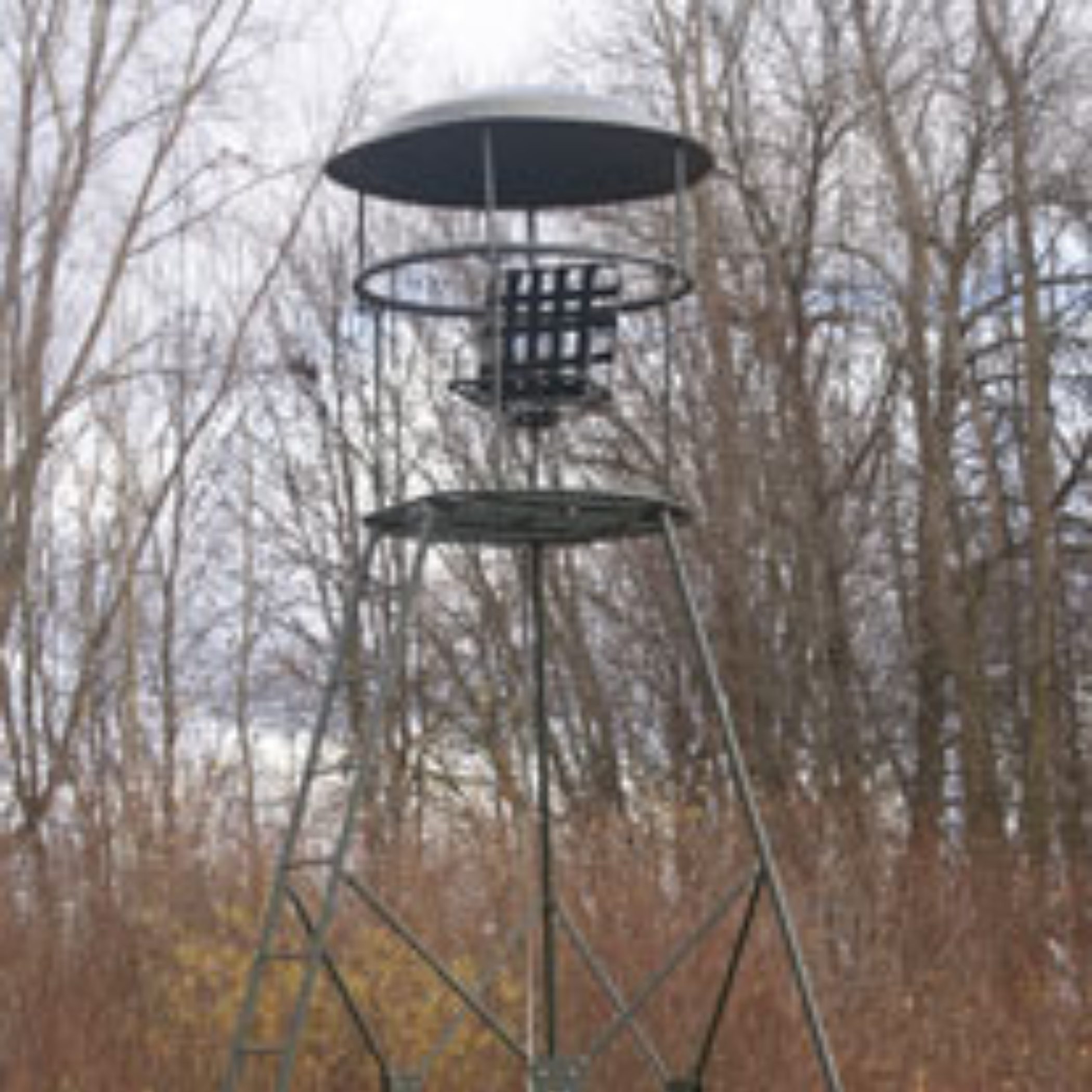 Family Tradition Treestands & Accessories – Country Smoke House