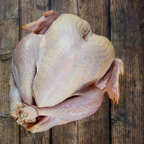 Fresh Amish Turkey