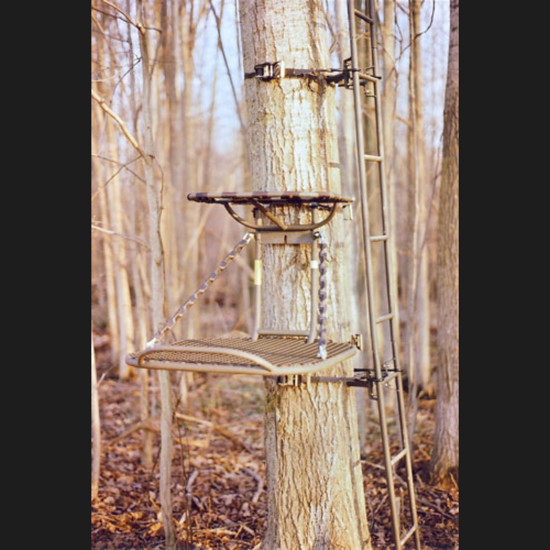 best lock on tree stand for the money HD/HO Lock On Treestand HD/HO Lock On Treestand