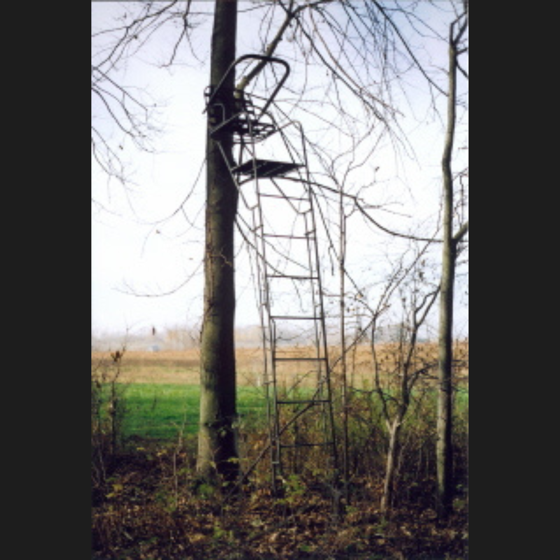 best ladder tree stand for the money LD14 Deluxe Ladderstand LD14 Deluxe Ladderstand with 41" Extension